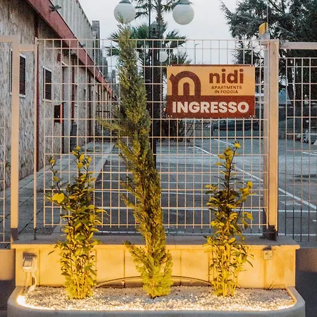 Nidi *