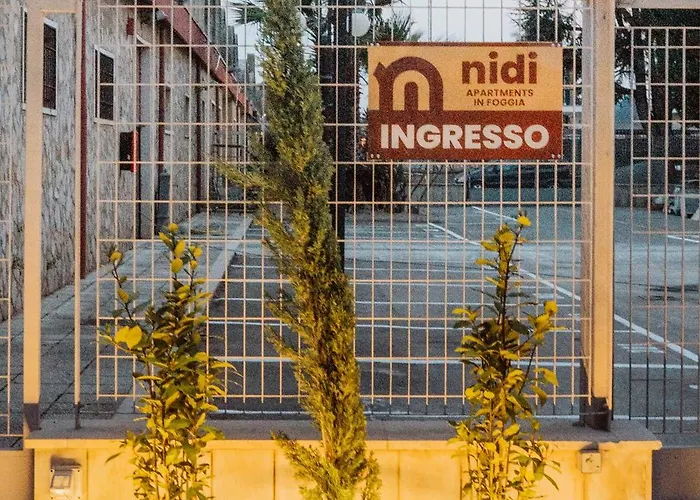 Nidi *